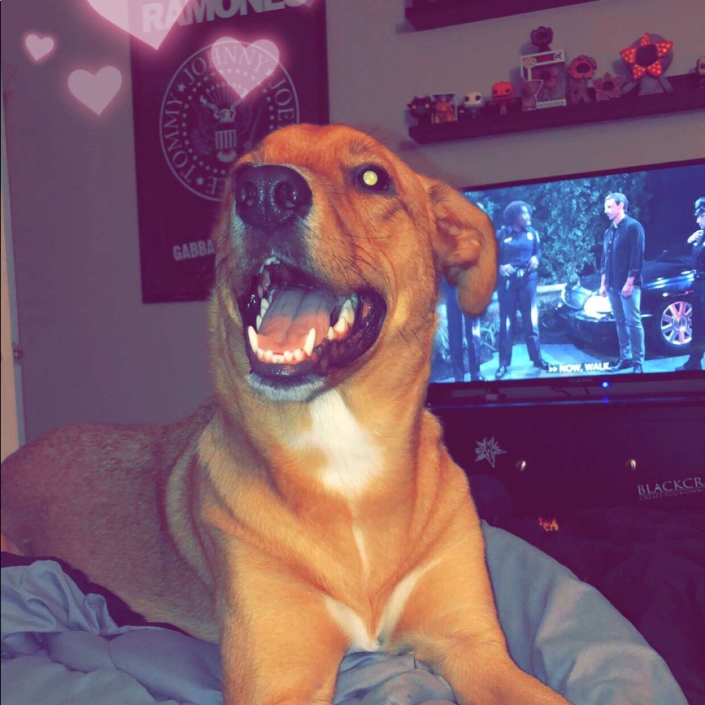 Meet your Posher, Toni